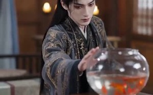 红鲤乱凡间（38集）短剧夸克网盘全集免费在线观看