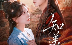 知美人（81集）短剧夸克网盘免费畅享看全集