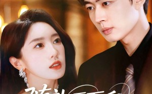 随礼五万后我娶了美女老板（97集）短剧夸克网盘超清全集免费看