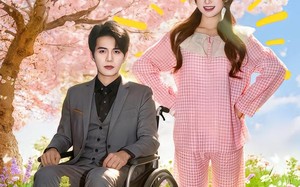 沈总，请签收你的小太阳（80集）短剧夸克网盘免费看高清全集