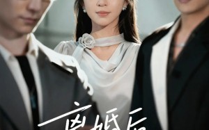离婚后林小姐光芒万丈（62集）短剧夸克网盘畅享全集观看