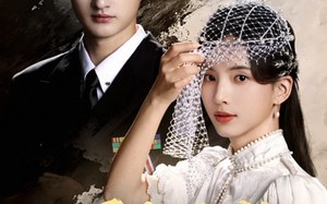 风起京华（60集）短剧夸克网盘免费看完整剧情