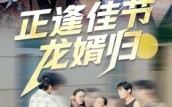 正逢佳节龙婿归（42集）短剧夸克网盘免费看完整版