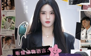 听懂动物语言：我成了警局常客第一部（82集）短剧夸克网盘独家高清版