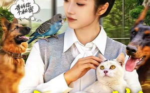 听懂动物语言后我发财了（85集）短剧夸克网盘视频免费看全集