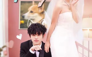 惊！我家来福变恶少了＆忠犬变恶少（80集）短剧夸克网盘精彩全集免费观看