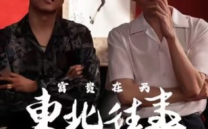 东北往事之富贵在天（64集）短剧夸克网盘精彩大结局抢先看