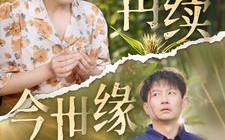 再续今世缘（83集）短剧夸克网盘全集打包下载看