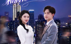 不做替身后，和前任她姐结婚了（70集）短剧夸克网盘独家花絮附加看