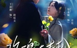玫瑰与青松（79集）短剧夸克网盘全集视频畅快看