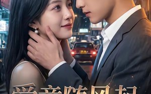 爱意随风起，风止意难平（36集）短剧夸克网盘高清全集免费看
