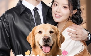 驭兽师直播听动物心声吃瓜破案（73集）短剧夸克网盘超前点映抢先看大结局