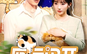 厄运闪开，幸运猫猫驾到（62集）短剧夸克网盘高清在线看