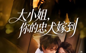 大小姐，你的忠犬嫁到（80集）短剧夸克网盘全集畅快看