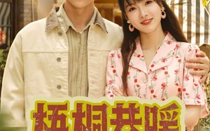 梧桐巷暖（61集）短剧夸克网盘每日更新追剧无忧