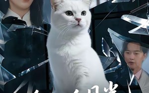 他的白月光是只猫（69集）短剧夸克网盘完整剧情免费看