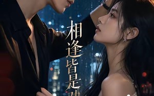 相逢皆是劝分人（57集）短剧夸克网盘超清全集免费赏