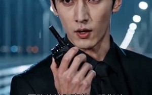 一诺相守，风云再起（30集）短剧夸克网盘超清全集尽情看