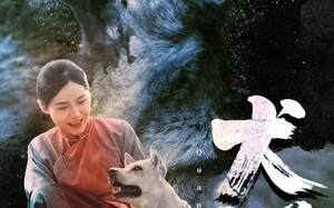 犬咒（45集）短剧夸克网盘高清在线免费看