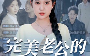 完美老公的千层套路（31集）短剧夸克网盘极速加载在线看