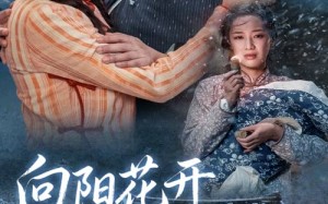 向阳花开并蒂霜（60集）短剧夸克网盘全集免费随心看