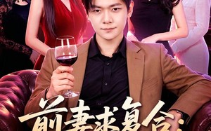 前妻要求复合：抱歉，没空（80集）短剧夸克网盘全集免费畅快看