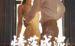 情落成泥碾作尘（50集）短剧夸克网盘极速缓冲流畅播放