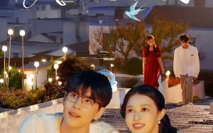 花恋鸟我要去花鸟（60集）短剧夸克网盘免费在线看全剧