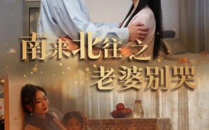 南来北往之老婆别哭（87集）短剧夸克网盘独家高清版