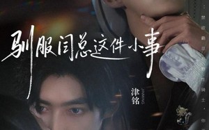 驯服闫总这件小事（58集）短剧夸克网盘在线高清看全集