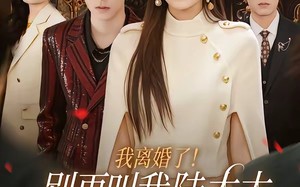 我离婚了！别再叫我陆太太，叫沈总（74集）短剧夸克网盘全集视频免费看