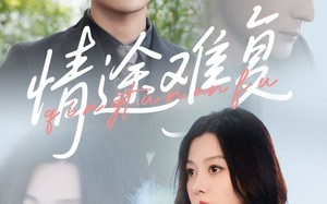情途难复（50集）短剧夸克网盘高清版免费观看
