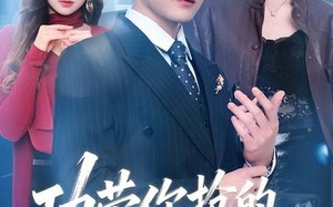 功劳你抢的，出事找我干什么（50集）短剧夸克网盘免费全集观看