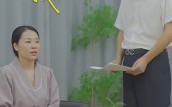 相逢相遇我和你（15集）短剧夸克网盘全集免费畅享看