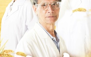大农（71集）短剧夸克网盘独家完整版抢先看