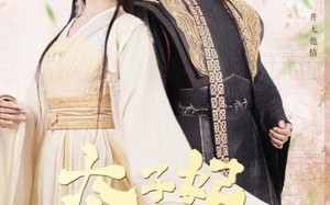 太子妃的休夫大业（84集）短剧夸克网盘高清流畅在线看