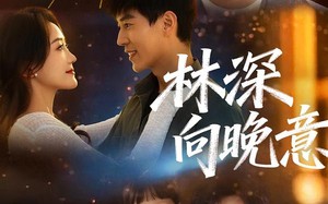 林深向晚意（70集）短剧夸克网盘全集高清畅快看