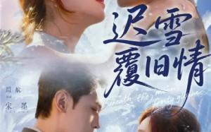 迟雪覆旧情（62集）短剧夸克网盘高清全集免费看
