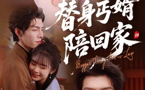 替身丐婿陪回家（35集）短剧夸克网盘蓝光画质畅享追剧
