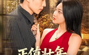 正值壮年，归来一笑为红颜（75集）短剧夸克网盘高清在线看个够