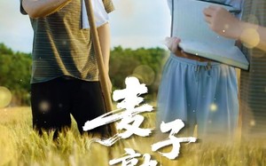 麦子熟了（52集）短剧夸克网盘高清全集随时随地看