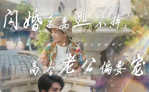 闪婚孕妻逃不掉，高冷老公偏要宠（78集）短剧夸克网盘全集下载随时看