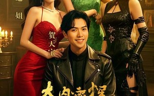大内密探零零玖（40集）短剧夸克网盘精彩剧情不容错过