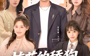 校花的舔狗辞职了（66集）短剧夸克网盘免费看全集