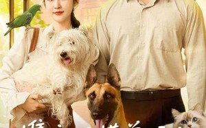 携空间懂兽语！真千金震惊家属院（81集）短剧夸克网盘高清全集免费观