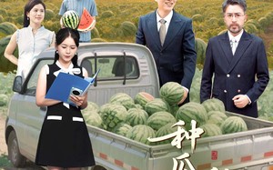 种瓜得瓜种豆得豆（30集）短剧夸克网盘全集高清收藏版