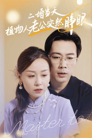 二婚当天植物人老公突然睁眼（40集）最新上映免费看