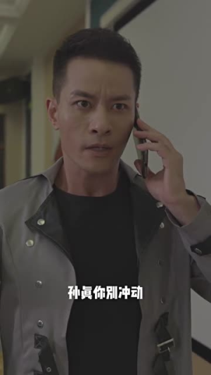 龙城飞将（85集）超好看短剧推荐