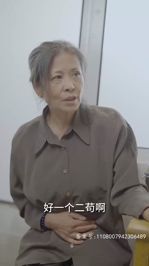 乡间幸福往事（80集）短剧越看越精彩