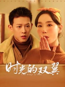 时光的双翼（94集）番茄短剧免费看